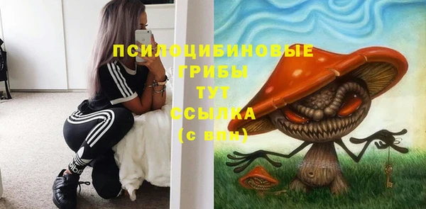не бодяженный Карпинск