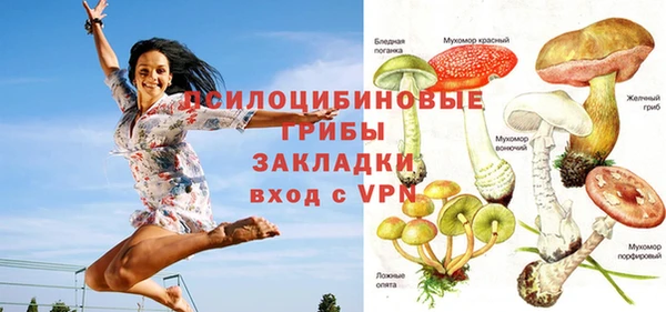 не бодяженный Карпинск