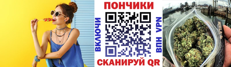 Бошки марихуана THC 21%  Купить  Котово 